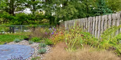 A variety of native flowers and brown native grass adjacent to a brick patio in a residential backyard